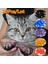 Yeşil Parıltı Stili Xs Beden Yeni Moda Renkli Kedi Tırnak Kılıfları Yumuşak Kedi Pençe Yumuşak Pawlot Ücretsiz Yapıştırıcı Tutkal ile Boyut Xs S M L Evcil Hayvan Hediyesi (Yurt Dışından) 2