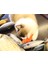 Gri Stil Tüylü Yaratıcı 3D Ahtapot Balık Şekilli Kedi Oyuncağı Hediye Sevimli Simülasyon Balık Oynatma Pet Hediye Kedi Nane Balık Peluş Pet Oyuncağı (Yurt Dışından) 5