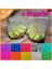 Kahve Stili S Beden Yeni Moda Renkli Kedi Tırnak Kapakları Yumuşak Kedi Pençe Yumuşak Pawlot Ücretsiz Yapıştırıcı Tutkal Boyut Xs S M L Hediye Için Evcil Hayvan (Yurt Dışından) 2