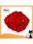 Sarı Stil Xs Beden Yeni Renkli Kedi Tırnağı Yumuşak Pençe Tırnak Kapağı Pençe Kapağı Evcil Hayvan Tırnağı Kapağı Ücretsiz Yapıştırıcı Tutkalı + Aplikatör ile (Yurt Dışından) 5