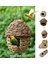 F 12X6CM Stili Kuş Yuvası Kuş Kafesi Doğal Çim Yumurta Kafesi Kuş Evi Açık Dekoratif Dokuma Asılı Papağan Yuvası Evcil Hayvan Yatak Odası Doğa (Yurt Dışından) 2