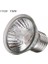 75W 110V Tarzı Bronzlaştırıcı Güneş Lambası Uva Uvb Işığı Kertenkele Kaplumbağa Evcil Hayvanlar Ampulü Balık Pet Malzemeleri Evcil Hayvan Ürünleri Ev Bahçe (Yurt Dışından) 1