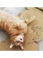 Kedi Nanesi 5g Tarzı 1 Paket Kediler Için Doğal Organik Premium Kediotu Kedi Nane Mentol Oyuncaklara ve Kediotu (Yurt Dışından) 3