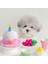 Şapka Stili Kore Doğum Günü Pastası Şapka Köpek Oyuncakları Peluş Çiğneme Sevimli Evcil Köpek Oyuncakları (Yurt Dışından) 5