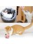 8kahverengi Ayı Stili Kedi Oyuncağı Mini Kedi Taşlama Kediotu Oyuncakları Eğlenceli Interaktif Peluş Kedi Diş Oyuncakları (Yurt Dışından) 5