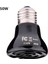 100W Tarzı 110V W E27 Seramik Kırbaç Isıtma Lambası Kaplumbağa Kertenkele Örümcek Sürüngen Kutusu Isıtıcı Işık Ampulleri (Yurt Dışından) 2