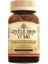 Gentle Iron 17 Mg 90 Kapsül 1
