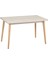 Avanos Mdf Sabit Traverten Mutfak Masası - 70 x 120 cm 2