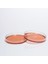 Hazır SS (Salmonella Shigella) Besiyer -10 Adet 2