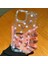 iPhone 12 / 12 Pro Çiçekli Butterfly Seri Silikon Kapak 3