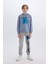 Erkek Çocuk Kapüşonlu Baskılı Sweatshirt D4354A8NS 2
