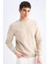 Regular Fit Bisiklet Yaka Kalın Basic Düz Sweatshirt T3777AZ25SP 1