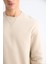 Regular Fit Bisiklet Yaka Kalın Basic Düz Sweatshirt T3777AZ25SP 5