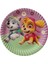 Doğum Günü Paw Patrol Lady Tabak 8 Li Karton Tabak 1