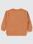 Erkek Çocuk Sweatshirt 2-5 Yaş Tarçın 2
