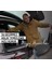 Renault Kangoo Combi (2024 ve Sonrası) Bagaj Havuzu (Bagaj Demir Setli) 3