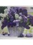 5d Yapışan Boncuk Goblen 30 x 40 cm Mozaik Tablo Pano 60517 1