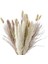 Doğal Pampas Çim Dekoru 40 Parça, 45 cm Doğal Kurutulmuş Beyaz Tavşan Kuyruğu Buğday Tozu Pampas Çim Bitki Boho Dekor (Yurt Dışından) 1