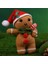 Yeni Başlayan Tığ Seti Etli Noel Serisi Tığ Işi Setleri, Talimatlı Öğreticilerle Video Öğreticileri Iplik Kancası Iğne (Yurt Dışından) 5