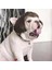 Küçük Orta Büyük Çiçekli Komik Köpek Peruk, Kesilebilir Evcil Hayvan Kostümü Kedi Cosplay Dekorasyonu (Yurt Dışından) 4