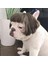 Küçük Orta Büyük Çiçekli Komik Köpek Peruk, Kesilebilir Evcil Hayvan Kostümü Kedi Cosplay Dekorasyonu (Yurt Dışından) 5