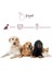 Friend Pet Premium Gold Yetişkin Köpek Maması Tavuklu 12 kg %100 Yeme Garantili 6