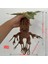 25CM Harry Potter Mandrake Peluş Oyuncak Bebek (Yurt Dışından) 4