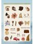 VİNTAGE TEMALI 12*17 CM STİCKER/BULLET JOURNAL, SCRAPBOOK, AJANDA, PLANLAYICI, DEFTER İÇİN 1