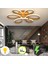 Linup Modern Plafonyer Tavana Sıfır LED Avize Gün Işığı 1