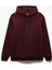 Reglan Kollu Pamuk Karışımlı Dikiş Detaylı Basic Kapşonlu Sweatshirt 1