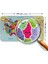 - Eğitici ve Öğretici Dünya ve Türkiye Haritası Çocuk Odası Duvar STICKER-60X105-3882 3