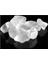 Kristal Tuz 500 gr 3