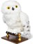 Büyüleyici Hedwig Seni Bekliyor! Harry Potter Hayranları Için Özel 1