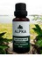 Kantaron Yağı (30ml) 2