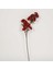 Kartope Red Yapay Çiçek 20*81*9 cm 1