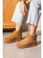 Taba Ugg Bot 2