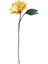 Krem Gold Yapay Çiçek AK.ESR0132 1