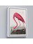 - Çerçeveli John James Audubon - Amerikan Flamingo TABLOSU-7301 1