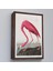 - Çerçeveli John James Audubon - Amerikan Flamingo TABLOSU-7301 2