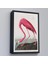 - Çerçeveli John James Audubon - Amerikan Flamingo TABLOSU-7301 4