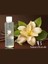 Vanilya Aromalı Masaj Yağı 150 ml 3