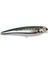 D. Spro Ikiru Pop 115 Chromed Sardine Su Üstü Yem 1