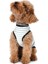 Küçük ve Orta Irk Köpek T-Shirt Shaka Mavi 2