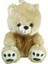 PABX21957-20 Peluş Ayı Kurdelalı 20 cm -Vardem 1