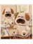 35CM Büyük Gözli Shar Pei Köpek Yurdu (Yurt Dışından) 3