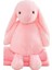 Yeni Lilly Bear Kurumi Peluş Oyuncağa Dönüşüyor Çıkarılabilir Şapka Oyuncak Çok Işlevli Klima Yorgan (Yurt Dışından) 1