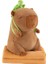 Yeni Lilly Bear Kurumi Peluş Oyuncağa Dönüşüyor Çıkarılabilir Şapka Oyuncak Çok Işlevli Klima Yorgan (Yurt Dışından) 1
