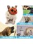 Ayarlanabilir Köpekler Için Ağızlık (Yurt Dışından) 5