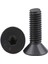 Havşa Başlı İmbus Civata 10.9 Kalite Paslanmaz Çelik Siyah Dın 7991 M6 x 40 mm 20 Adet 2