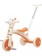 Çocuk Arabası 3-6 Yaş Erkek ve Kız Bebek Itme Çubuğu ile Açık Müzik Hafif Çocuk Pedallı Araba Üç Tekerlekli Bisiklet Pedallı Araba (Yurt Dışından) 1